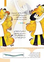 مجله کودک 350 صفحه 27