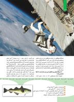 مجله کودک 351 صفحه 12