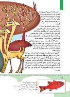 مجله کودک 351 صفحه 34