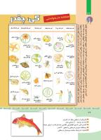 مجله کودک 351 صفحه 36