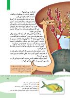 مجله کودک 351 صفحه 35