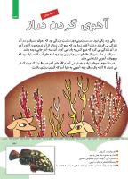 مجله کودک 351 صفحه 33