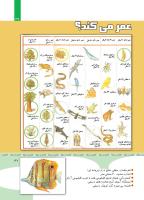 مجله کودک 351 صفحه 37