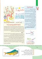 مجله کودک 351 صفحه 40