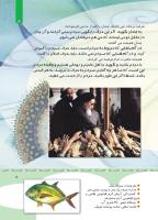 مجله کودک 351 صفحه 5