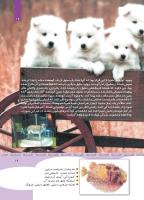 مجله کودک 352 صفحه 19