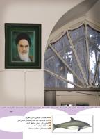 مجله کودک 352 صفحه 43