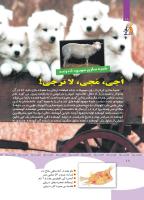 مجله کودک 352 صفحه 18
