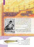 مجله کودک 352 صفحه 5