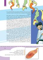 مجله کودک 352 صفحه 15