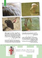 مجله کودک 355 صفحه 11