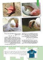 مجله کودک 355 صفحه 12