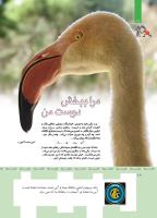 مجله کودک 355 صفحه 10