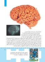 مجله کودک 357 صفحه 31