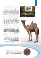 مجله کودک 365 صفحه 12