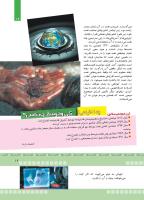 مجله کودک 377 صفحه 19