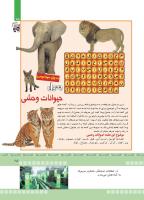 مجله کودک 377 صفحه 25