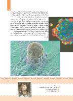 مجله کودک 388 صفحه 19