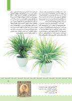 مجله کودک 390 صفحه 19
