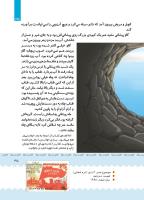 مجله کودک 403 صفحه 36