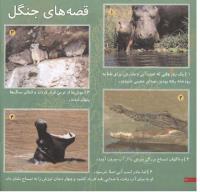 مجله خردسال 28 صفحه 20