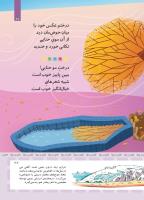 مجله کودک 407 صفحه 27