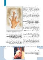 مجله کودک 416 صفحه 13