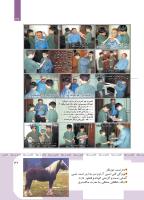 مجله کودک 417 صفحه 37