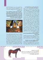 مجله کودک 417 صفحه 11