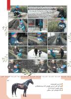 مجله کودک 418 صفحه 37