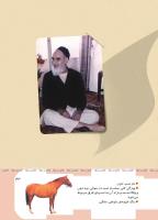 مجله کودک 418 صفحه 43