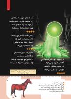 مجله کودک 418 صفحه 7