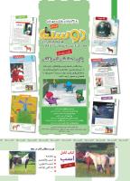 مجله کودک 419 صفحه 3
