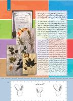 مجله کودک 422 صفحه 13