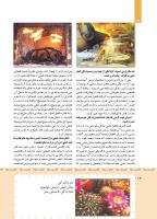 مجله کودک 423 صفحه 14