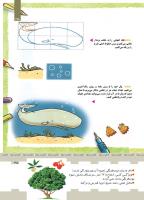 مجله کودک 425 صفحه 35