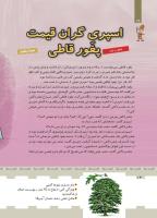 مجله کودک 425 صفحه 14