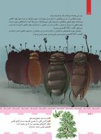 مجله کودک 426 صفحه 16