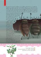 مجله کودک 426 صفحه 15