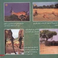 مجله خردسال 31 صفحه 21