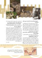 مجله کودک 437 صفحه 13