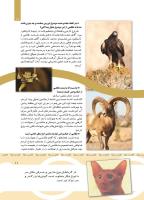 مجله کودک 437 صفحه 11