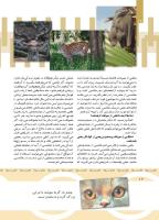 مجله کودک 437 صفحه 12