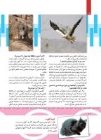 مجله کودک 438 صفحه 12