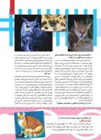 مجله کودک 438 صفحه 11
