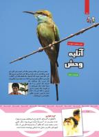 مجله کودک 438 صفحه 10