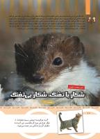 مجله کودک 439 صفحه 10