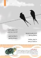 مجله کودک 439 صفحه 7