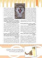 مجله کودک 439 صفحه 12