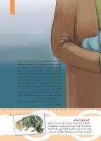 مجله کودک 439 صفحه 9